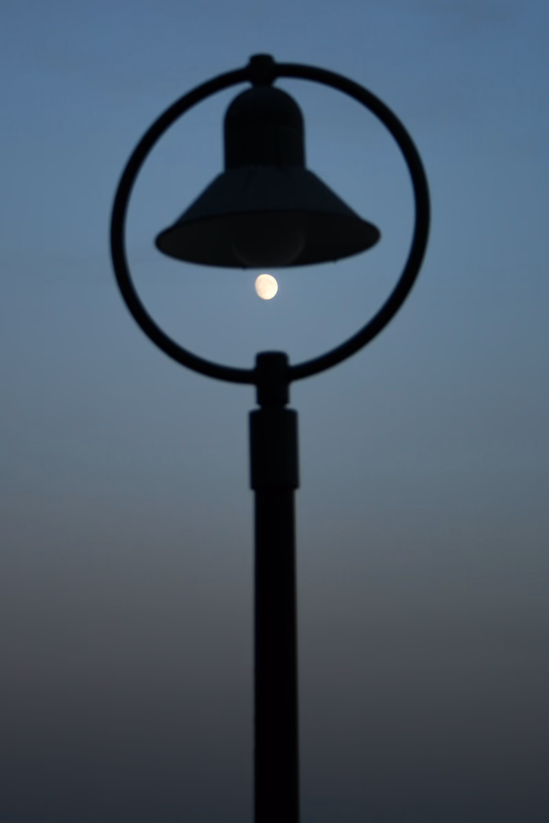 Miscellaneous - Photo 4