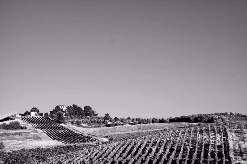 Places Gallery Preview