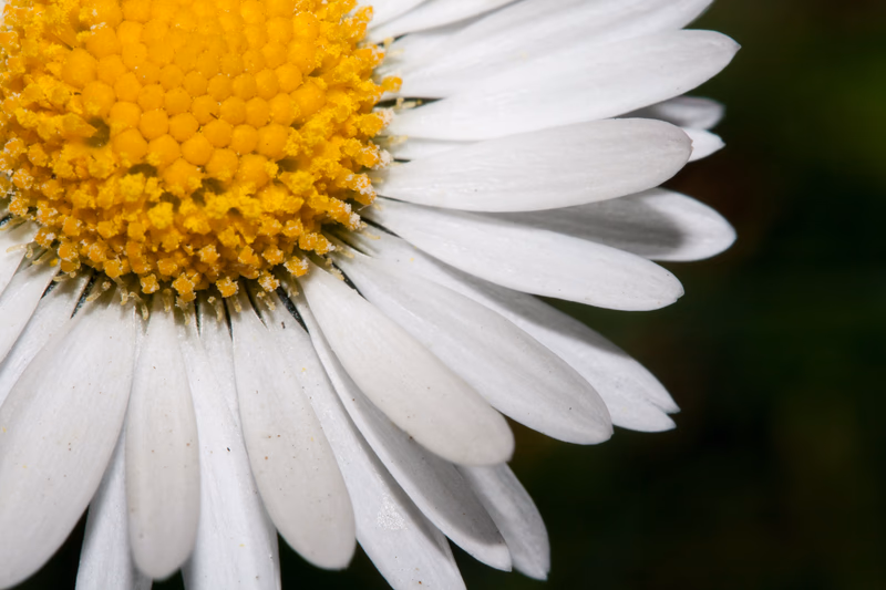 Miscellaneous - Photo 8