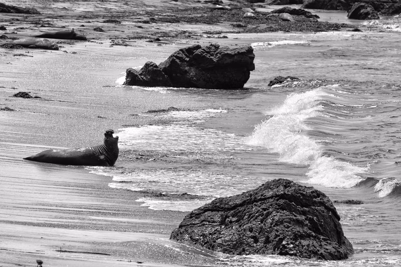 USA Wilderness - Photo 2