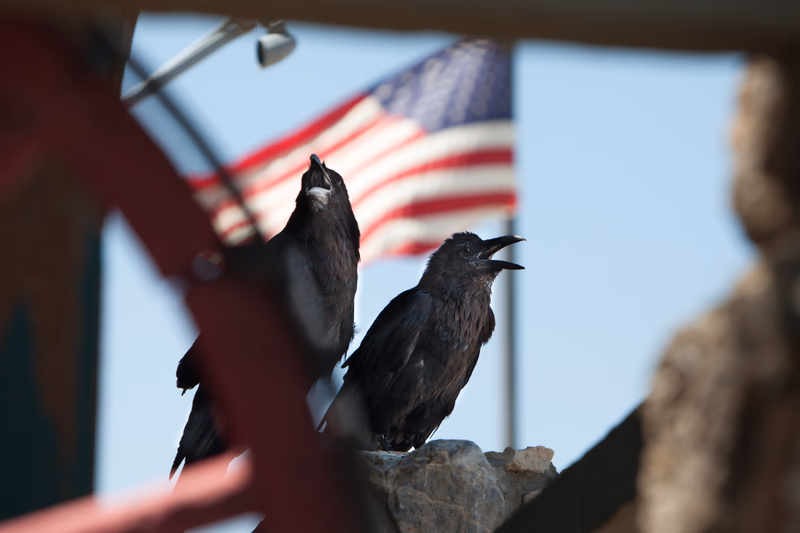 USA Wilderness - Photo 10