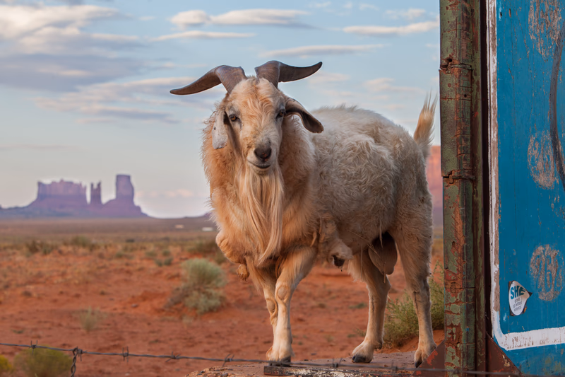 USA Wilderness - Photo 19