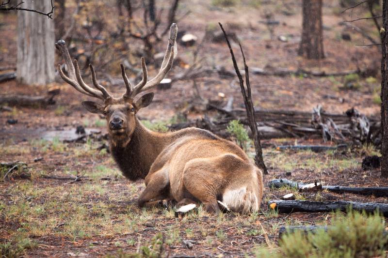 USA Wilderness - Photo 22