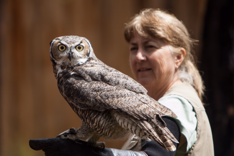 USA Wilderness - Photo 23