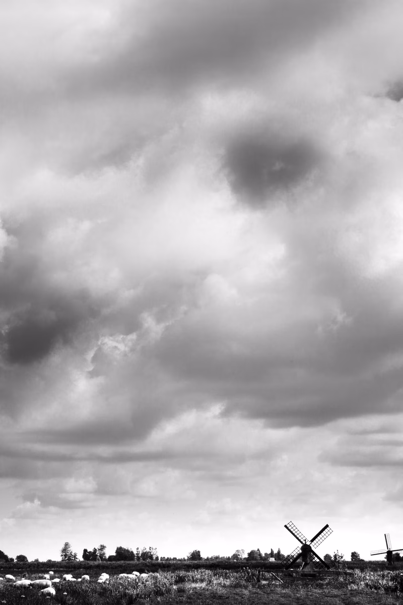 Netherlands - Photo 5